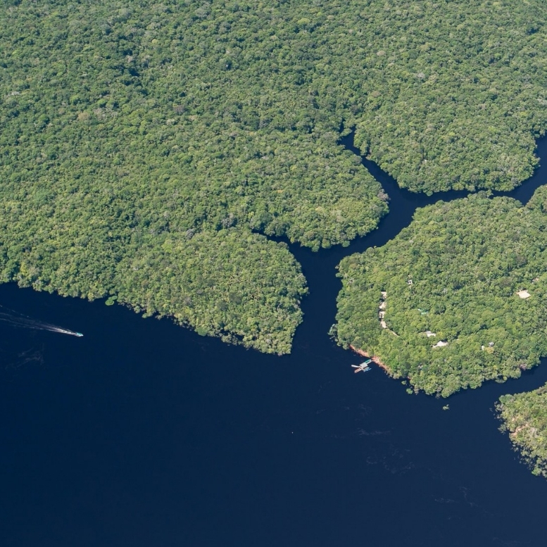 Voyage en Amazonie au cœur de la jungle tropicale – Horizons Nouveaux