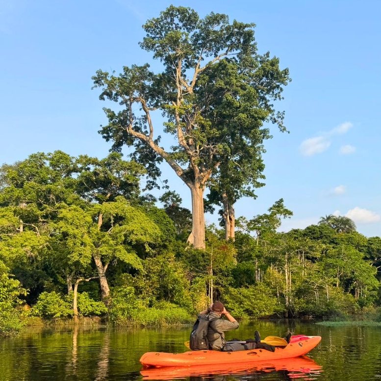 Explorer le Congo, c’est pénétrer dans l’une des dernières grandes terres d’aventure de la planète. En kayak sur les eaux calmes bordées d’une forêt primaire intacte, le voyage se vit au rythme de la nature, loin de toute agitation – une immersion rare au cœur d’écosystèmes préservés, où l’observation de la faune et le sentiment d’exploration reprennent tout leur sens – Horizons Nouveaux.