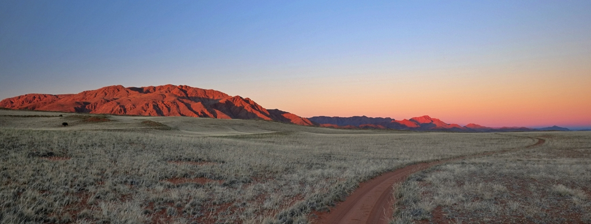 Les vastes plaines du Namib s’embrasent aux premières lueurs du jour, révélant l’immensité et le silence qui font la singularité de la Namibie – un voyage sur mesure entre déserts infinis, faune sauvage et horizons parmi les plus spectaculaires d’Afrique australe – Horizons Nouveaux
