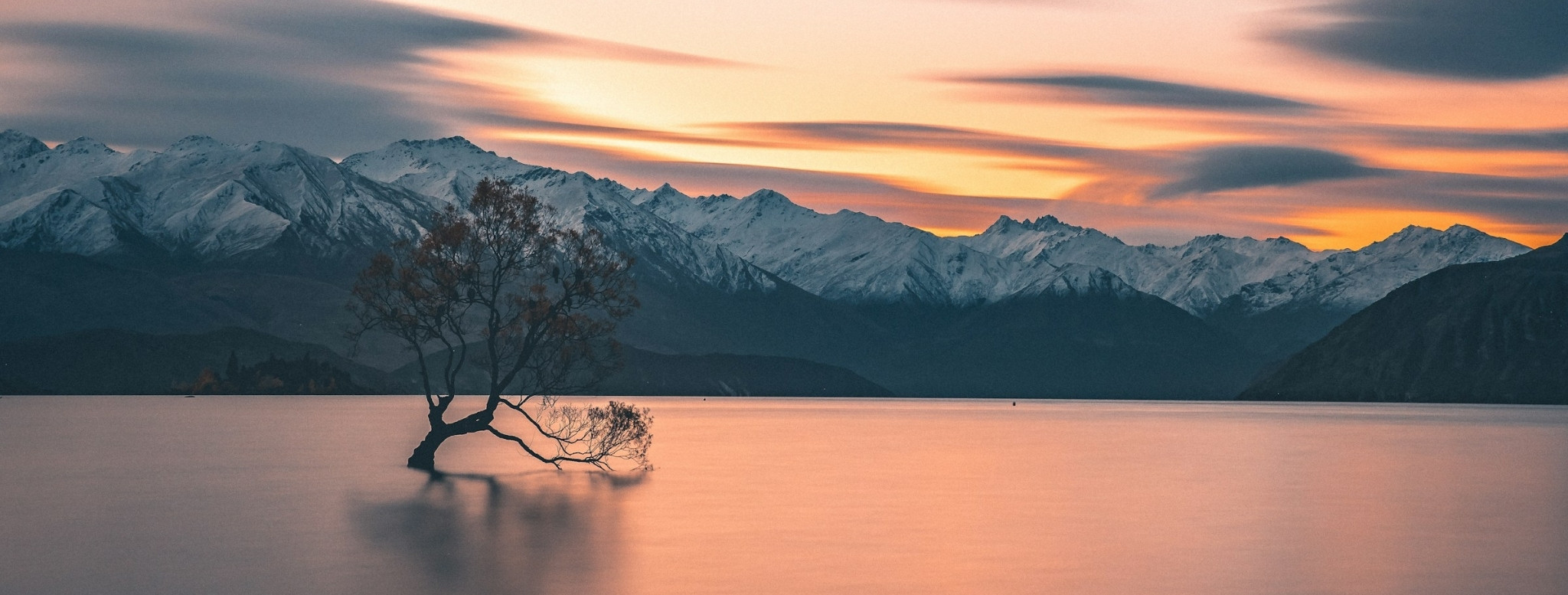L’arbre solitaire du lac Wānaka, silhouette emblématique de l’île du Sud, face aux sommets enneigés des Alpes néo-zélandaises – un voyage sur mesure en Nouvelle-Zélande entre grands espaces, nature spectaculaire et paysages parmi les plus préservés de la planète – Horizons Nouveaux.