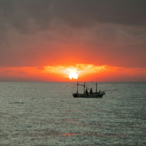 Fin de journée sur l’océan Indien au Sri Lanka – Horizons Nouveaux