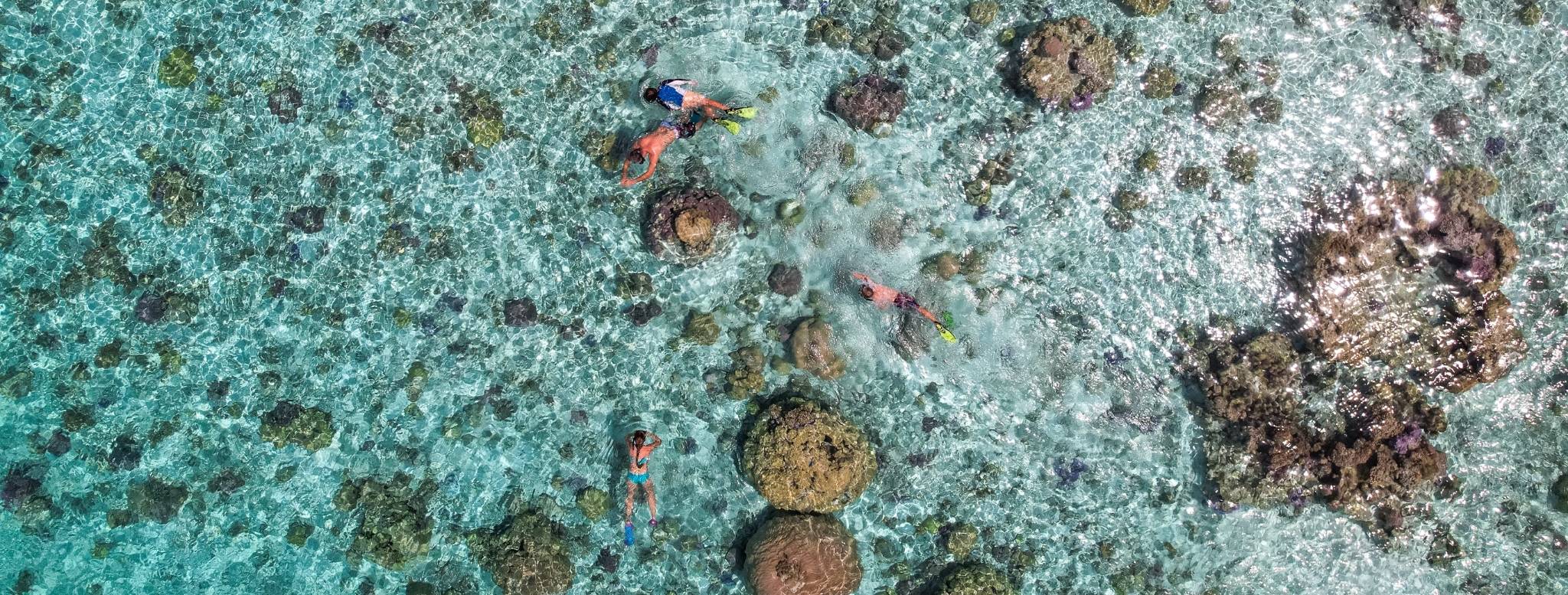 Atoll confidentiel de Tetiaroa, lagon immaculé et nature préservée au cœur de la Polynésie française – un voyage sur mesure entre îles d’exception, douceur du Pacifique et expériences rares loin des itinéraires classiques – Horizons Nouveaux.