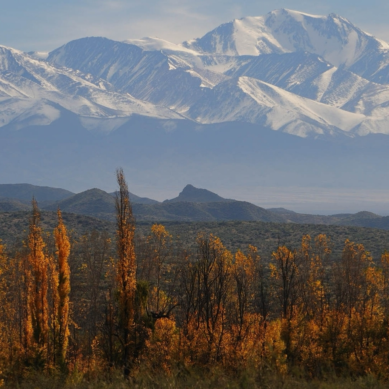 Paysage des Andes enneigées dominant les vignobles et les plaines de la région de Mendoza, au cœur de l'ouest argentin. A découvrir lors d'un voyage sur mesure à Mendoza en Argentine avec Horizons Nouveaux