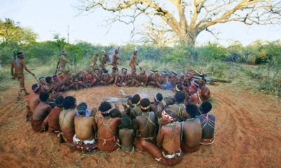 voyage sur mesure botswana, safari, aventure, découverte, faune, flore, personnalisé, itinéraire, luxe, nature, exploration, guide, réserve, parc, animaux, paysages, culture, expérience, lodge, camp, désert, rivière, delta, savane, observation, tribus