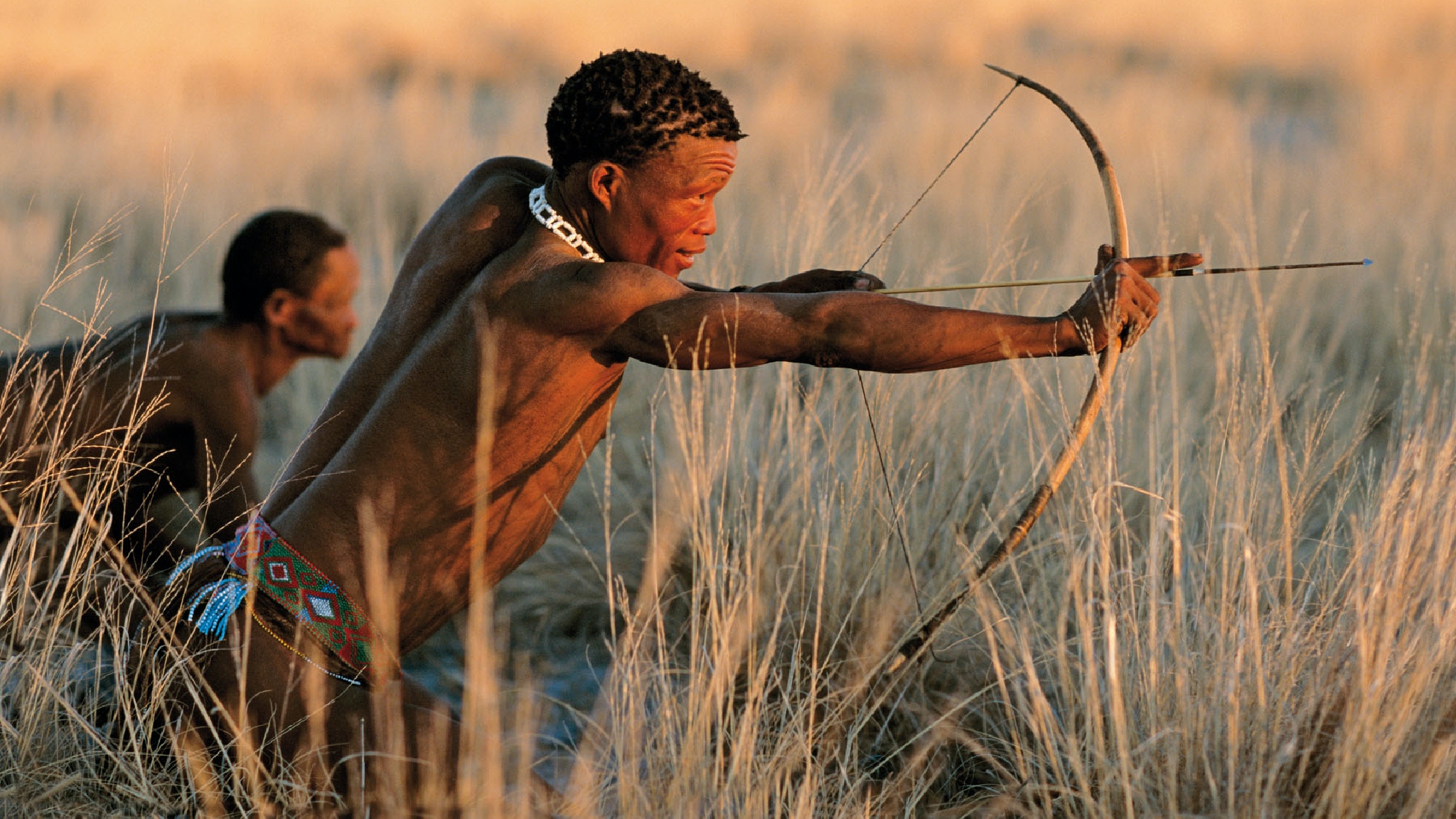 Botswana, chasseur San dans la savane lors d’une expérience culturelle et safari.