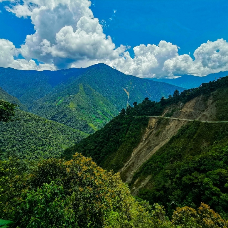 Route panoramique traversant les vallées luxuriantes des Yungas boliviens, entre forêt tropicale et montagnes des Andes.