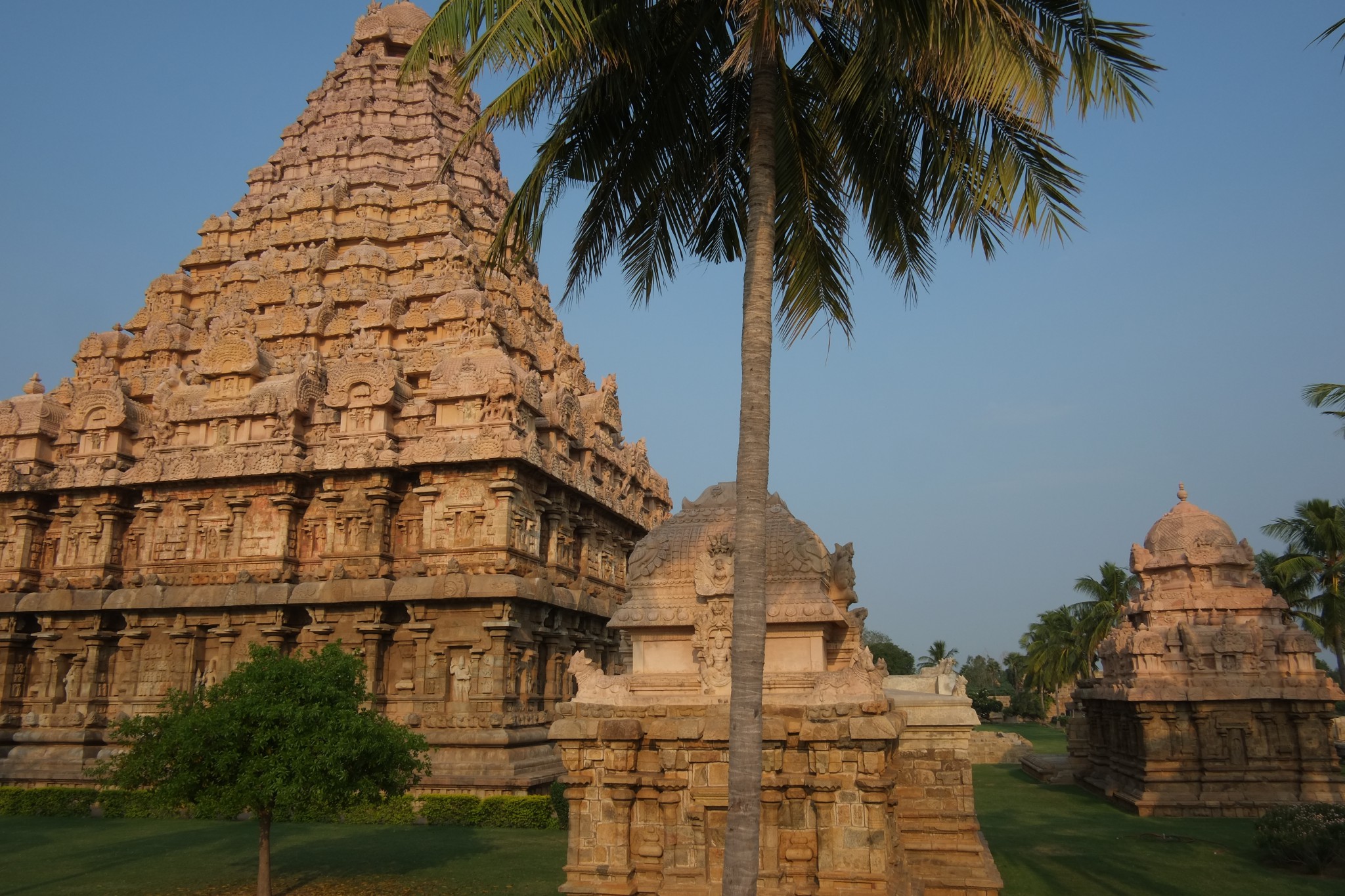 Inde du Sud, temple dravidien entouré de palmiers lors d’un voyage culturel entre temples et paysages tropicaux.