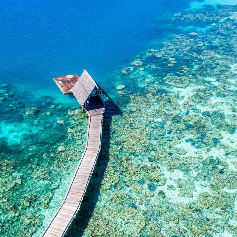 Ponton en bois menant à un pavillon sur pilotis au-dessus d'un récif corallien dans l'archipel de Bawah en Indonésie.