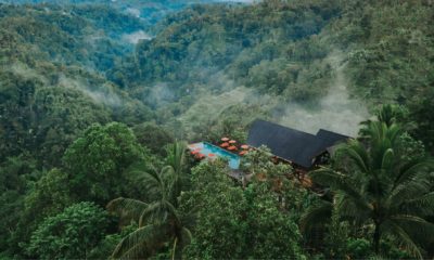 Resort surplombant une vallée luxuriante d'Ubud, au cœur de la jungle balinaise. Option idéale pour un voyage de noce ou une lune de miel sur mesure à Bali en Indonésie avec Horizons Nouveaux