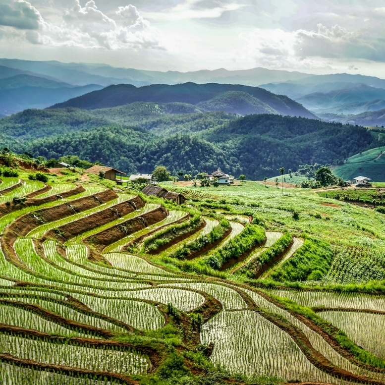 Rizières en terrasses de Mae Chaem dans le nord de la Thaïlande, paysages agricoles de montagne, vallées verdoyantes et immersion dans les campagnes traditionnelles près de Chiang Mai.