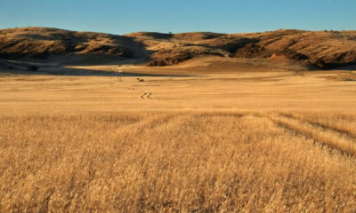 Voyage sur mesure en Namibie à travers les grands espaces du Damaraland, pistes isolées, plaines infinies et nature préservée au cœur de l’Afrique australe.