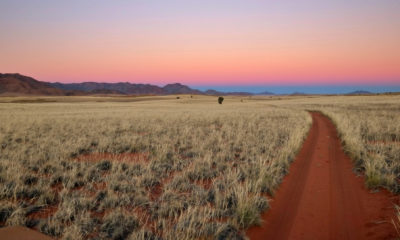 Voyage en autotour en Namibie sur les pistes de terre rouge, entre savanes arides, montagnes lointaines et horizons infinis du sud de l’Afrique.
