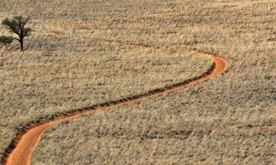 Route de piste au cœur des paysages désertiques de Namibie, voyage en autotour à travers les grands espaces africains et les panoramas emblématiques du sud de l’Afrique.