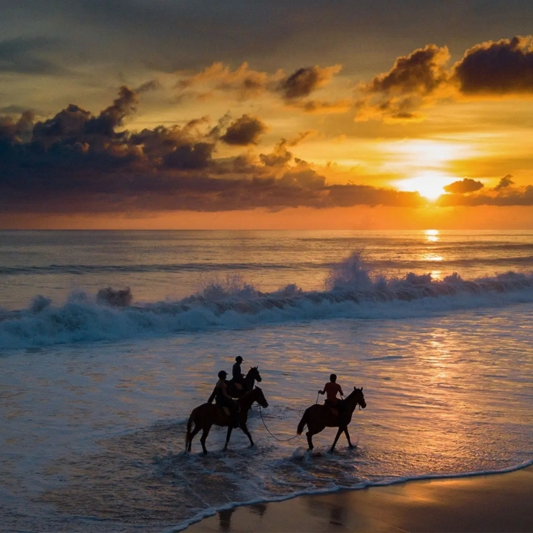 Promenade à cheval au coucher du soleil sur la plage de Nihi Sumba Island en Indonésie.