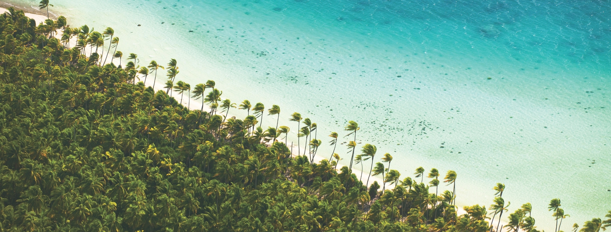 La Polynésie française entre lumière tropicale et immensité du Pacifique – Horizons Nouveaux