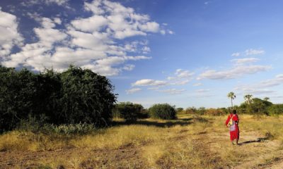 Membre du peuple masaï vêtu de son habit traditionnel rouge marchant à travers une savane de Tanzanie sous un vaste ciel ponctué de nuages, illustrant la rencontre entre les grands espaces de l'Afrique de l'Est et l'héritage culturel des communautés locales.