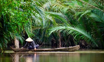 Navigation en barque traditionnelle dans les canaux du delta du Mékong au Vietnam, immersion au cœur des paysages tropicaux, de la vie locale et d’un voyage sur mesure en Asie du Sud-Est.