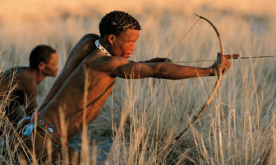 À la rencontre des San, les premiers habitants du désert du Kalahari, dont les connaissances de la nature se transmettent depuis des millénaires. Partager quelques heures à leurs côtés, découvrir leurs techniques de pistage, de chasse et leur lecture fascinante de l'environnement offre une immersion rare dans l'une des plus anciennes cultures encore vivantes au monde.
