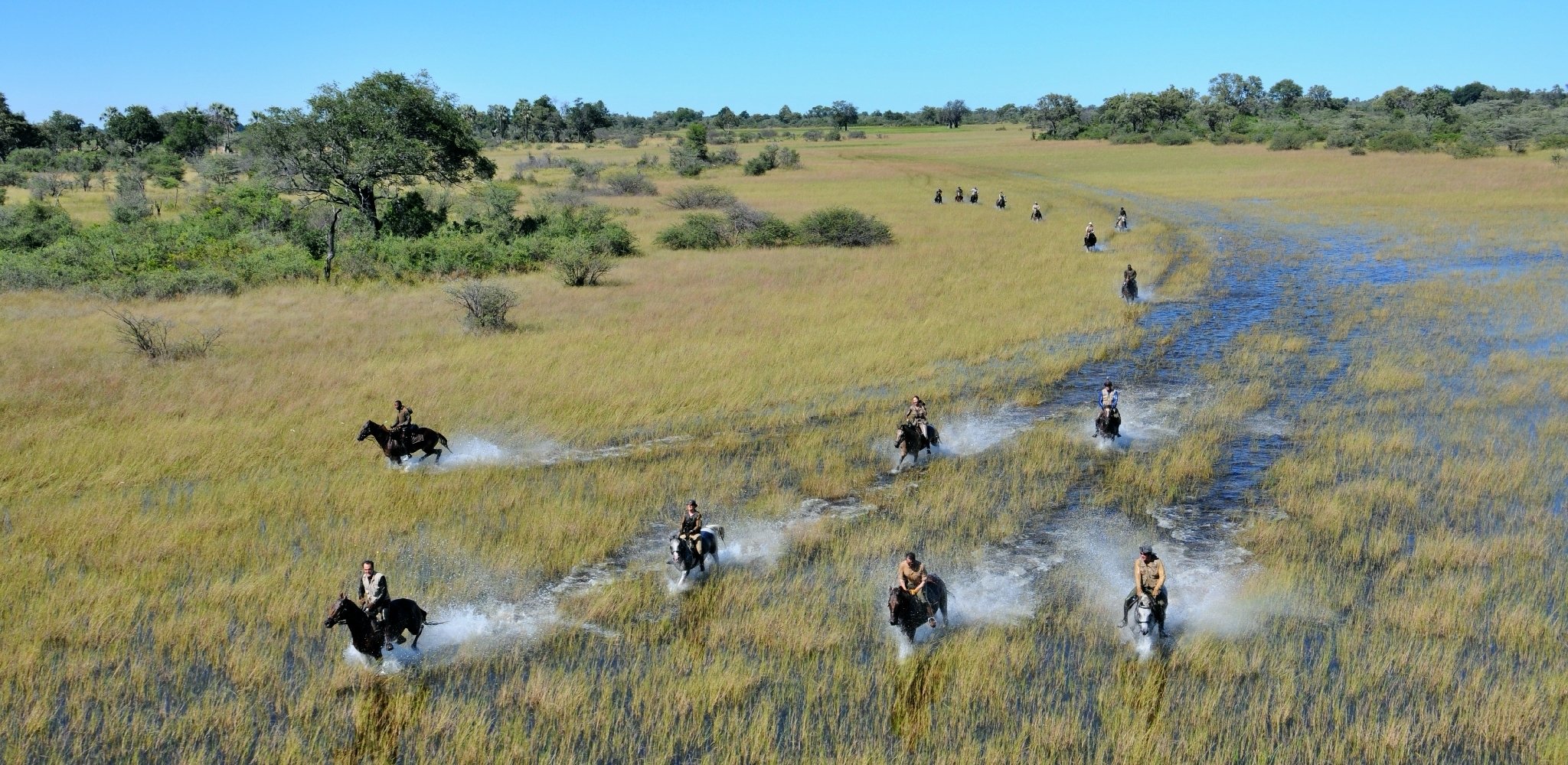 Explorer le delta de l'Okavango à cheval offre une sensation de liberté incomparable. Sans le bruit d'un véhicule, les rencontres avec la faune deviennent plus naturelles, tandis que les paysages défilent au rythme des sabots, au cœur de l'une des plus grandes merveilles sauvages d'Afrique.