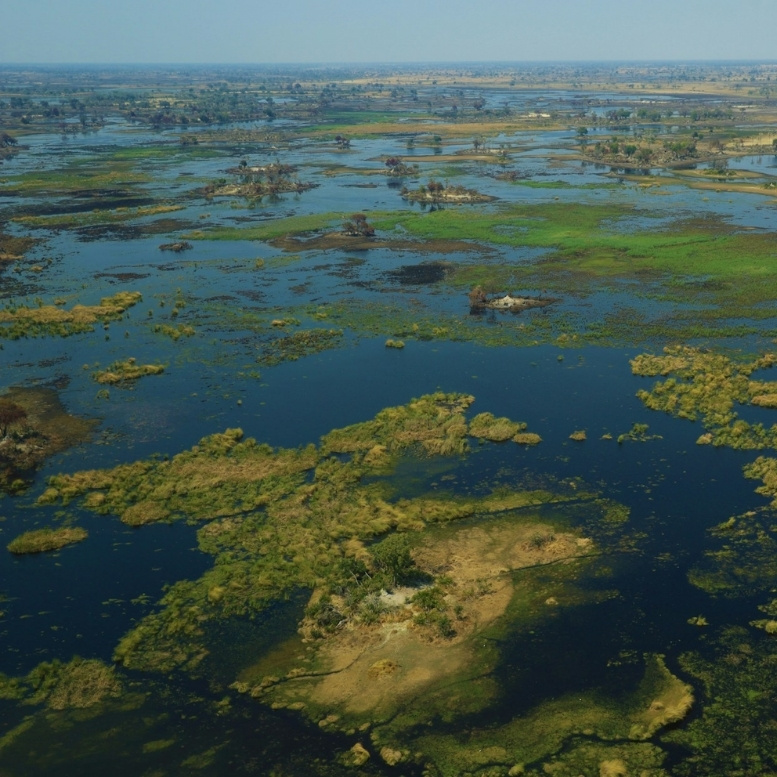 Vue aérienne du delta de l'Okavango au Botswana avec ses canaux, îlots et plaines inondées.