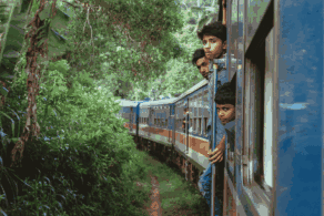 Train au Sri Lanka : Voyageurs observant la végétation tropicale depuis les portes d'un train traversant la région montagneuse de Badulla, au Sri Lanka. A découvrir avec Horizons Nouveaux, spécialiste des séjours sur mesure au Sri Lanka