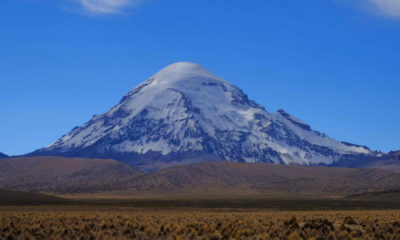 Volcan Sajama enneigé dominant les vastes paysages de l'Altiplano bolivien sous un ciel parfaitement dégagé.