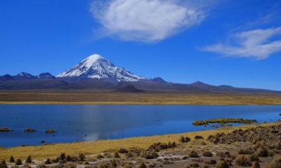 Le volcan Sajama se reflète dans un lac d'altitude au cœur des paysages sauvages de l'Altiplano bolivie