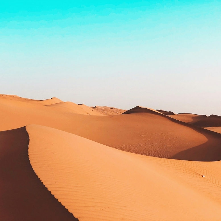 Les dunes des Wahiba Sands ne se découvrent jamais tout à fait de la même manière. Au fil de la journée, la lumière transforme les reliefs, fait apparaître de nouvelles courbes et accentue les contrastes entre ombre et lumière. Ici, le désert n’est pas un simple paysage : c’est une expérience. Une nuit sous les étoiles, un dîner au sommet d’une dune, le silence absolu au lever du soleil… Autant de moments qui révèlent l’une des plus belles facettes d’Oman, entre immensité, sérénité et déconnexion – Horizons Nouveaux.