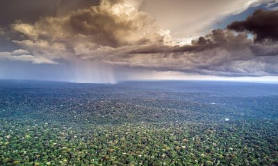 Vue d'avion, un orage déverse son rideau de pluie sur la forêt tropicale vierge du Bassin du Congo.