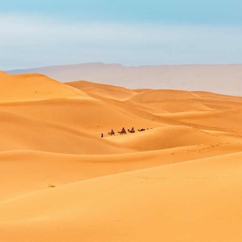 Immensité des dunes de l'erg Chegaga avec une caravane de dromadaires traversant le désert marocain.