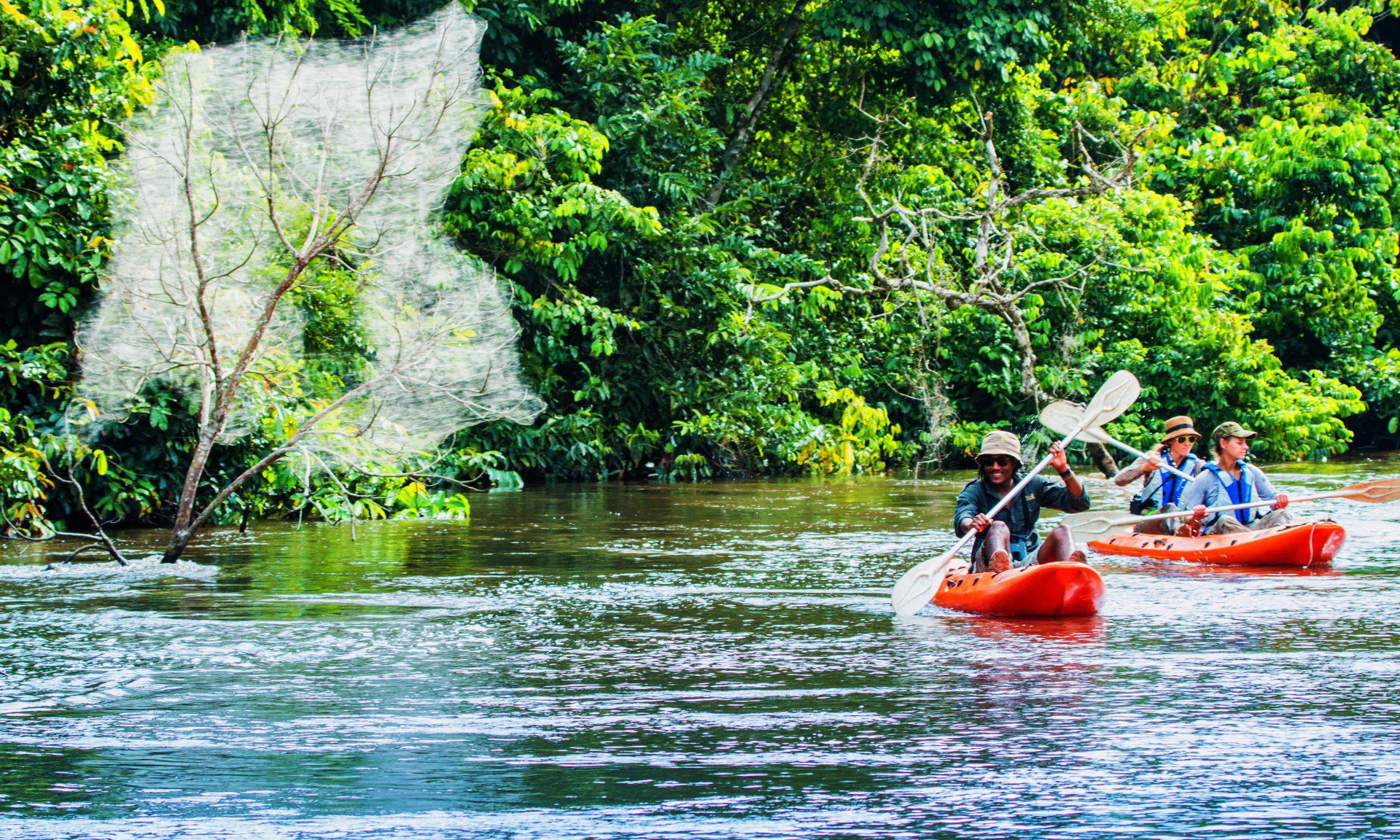 Congo - Horizons Nouveaux