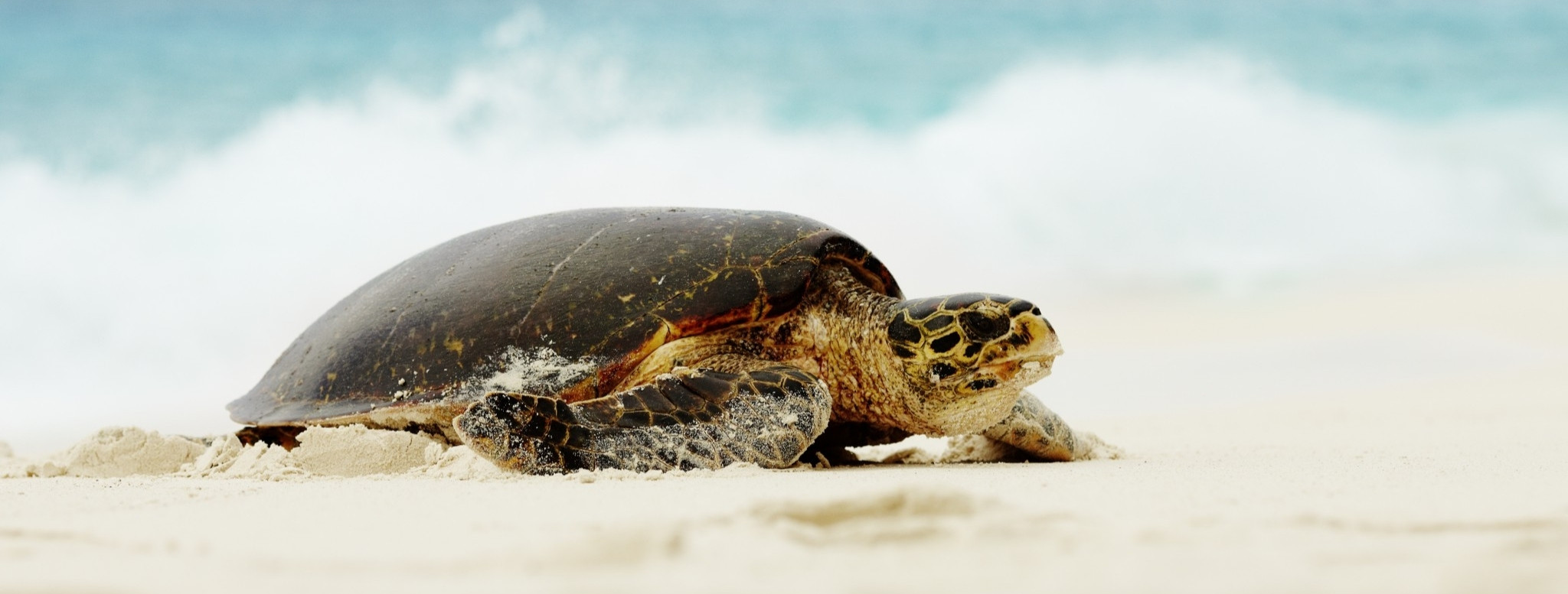 Séjour exclusif aux Seychelles entre hôtels de charme et lagons – Horizons Nouveaux