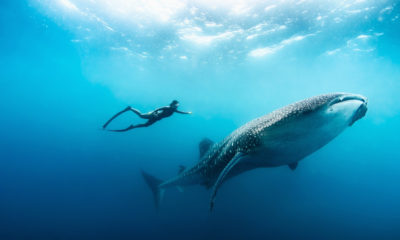 Atmosphère paisible aux Maldives, au rythme de l’océan Indien – Horizons Nouveaux
