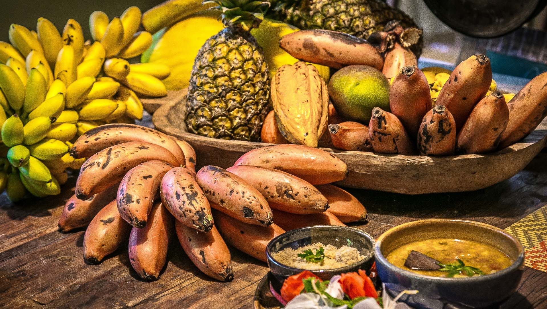 Banana Bamboo Ecolodge - Horizons Nouveaux