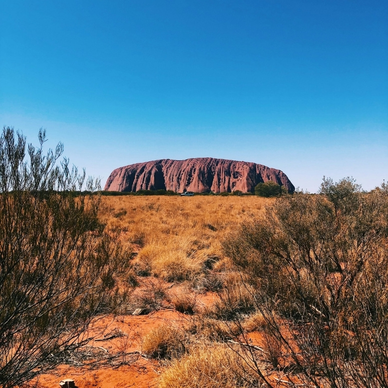 Uluru, immense monolithe de grès rouge situé dans le parc national d'Uluru-Kata Tjuta, s'élevant au-dessus des plaines arides et des herbes dorées caractéristiques du centre de l'Australie.