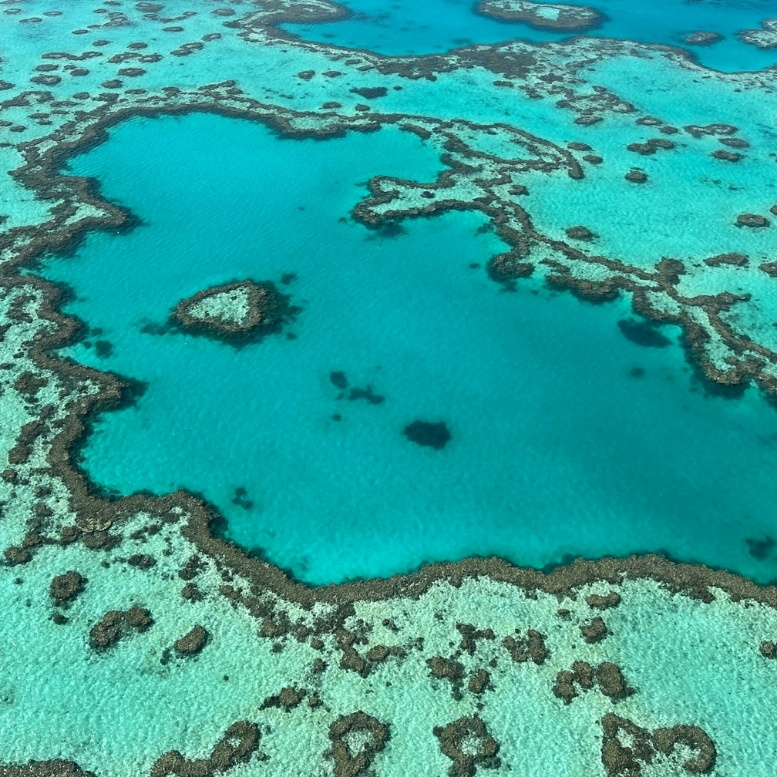 Vue aérienne de la Grande Barrière de Corail au large du Queensland, en Australie, révélant les nuances turquoise des lagons et les formations coralliennes qui composent le plus grand récif corallien au monde.
