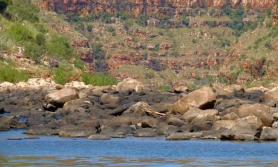 Voyage sur mesure en Australie avec Horizons Nouveaux, agence de voyage sur mesure basée en Suisse depuis plus de 30 ans