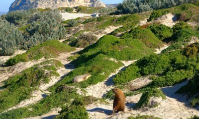 Voyage sur mesure en Australie avec Horizons Nouveaux, agence de voyage sur mesure basée en Suisse depuis plus de 30 ans