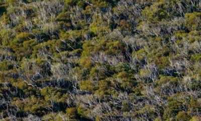 Voyage sur mesure en Australie avec Horizons Nouveaux, agence de voyage sur mesure basée en Suisse depuis plus de 30 ans