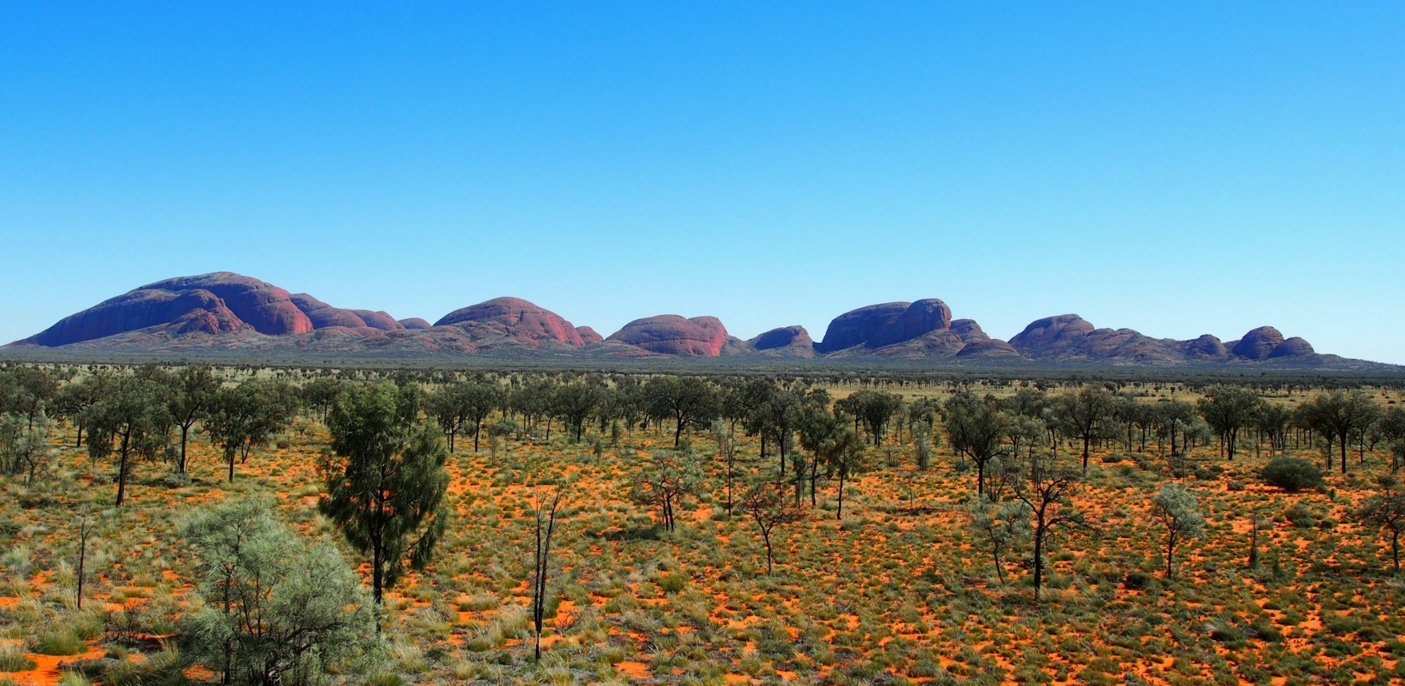 Vue panoramique des formations rocheuses de Kata Tjuta dans le parc national d'Uluru-Kata Tjuta, au cœur du Territoire du Nord australien, s'élevant au-dessus des étendues désertiques aux teintes rouge ocre caractéristiques de l'Outback.