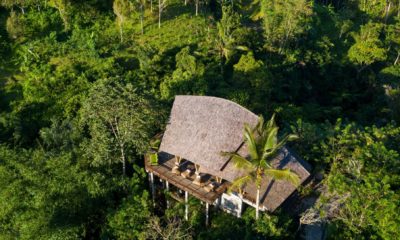 Jungle resort Bali Indonesia Horizons Nouveaux Buahan Holidays Luxury