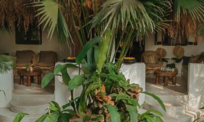 Palm Grove Resort in South Goa surrounded by coconut palms near the beach