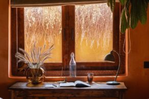 Palm Grove Resort in South Goa surrounded by coconut palms near the beach