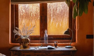 Palm Grove Resort in South Goa surrounded by coconut palms near the beach