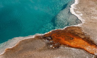 Détail d'une source géothermique du parc de Yellowstone, près d'Amangani à Jackson Hole, où des eaux turquoise cristallines contrastent avec des dépôts minéraux aux teintes ocre et orangées.