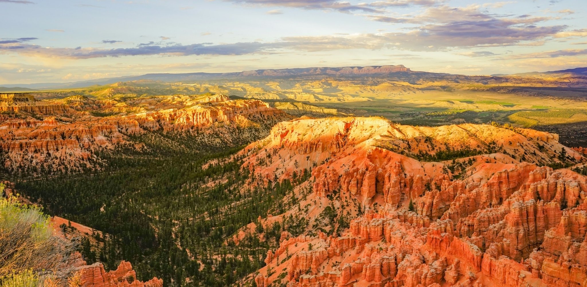Vue panoramique de Bryce Canyon dans l'Utah, où les formations rocheuses rouges et orangées sculptées par l'érosion s'étendent à perte de vue sous la lumière dorée de fin de journée, offrant l'un des paysages les plus emblématiques de l'Ouest américain.