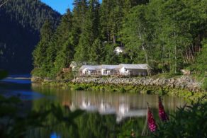 Tentes de safari élégantes du Clayoquot Wilderness Lodge, installées dans un environnement préservé entre montagnes, forêt ancienne et océan sur l'île de Vancouver.