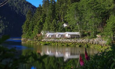 Tentes de safari élégantes du Clayoquot Wilderness Lodge, installées dans un environnement préservé entre montagnes, forêt ancienne et océan sur l'île de Vancouver.