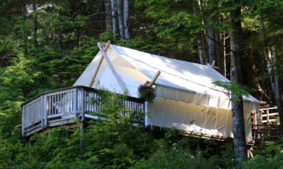 Tentes de safari élégantes du Clayoquot Wilderness Lodge, installées dans un environnement préservé entre montagnes, forêt ancienne et océan sur l'île de Vancouver.