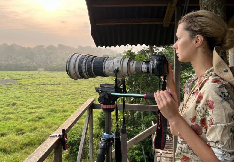 Une voyageuse photographie depuis une plateforme en bois surélevée, dominant la vaste zone humide verdoyante du Baï de Maeli, dans le Parc National Nouabale-Ndoki. La lumière est douce et le paysage est brumeux au lever du soleil, moment où les animaux sont les plus actifs. République du Congo.